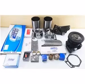 Gasket Kit K4100D