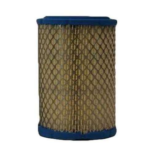 Air Filter AF25550